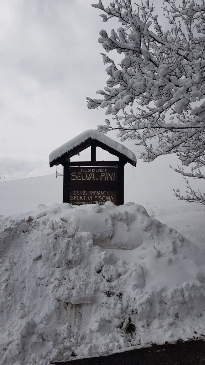 Selva dei Pini (MO): appartamento a due passi dalle piste da sci